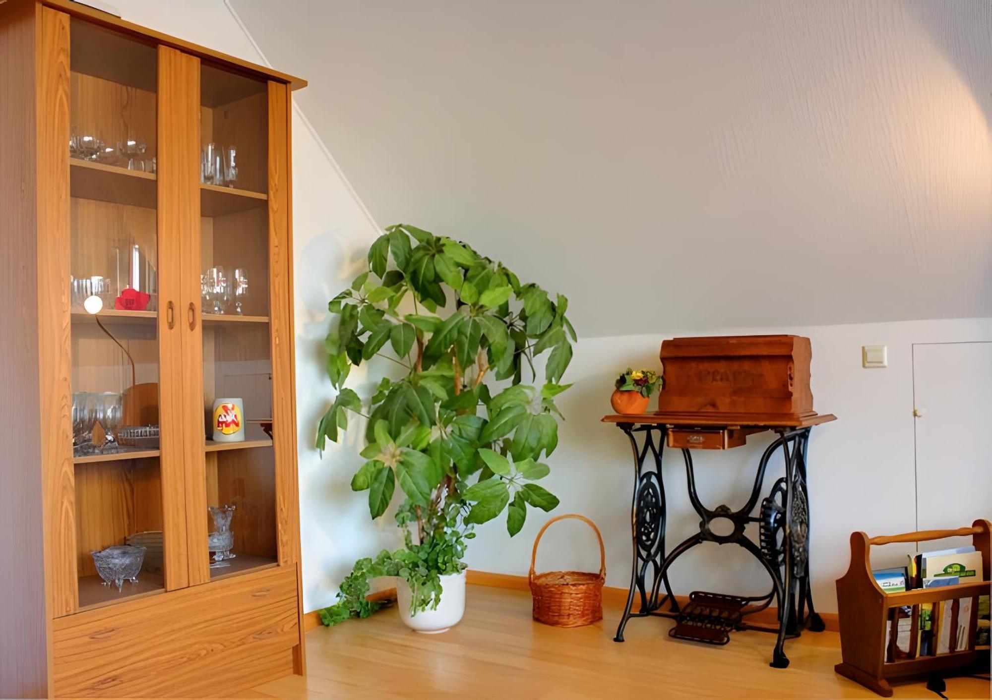 Ferienwohnung Haus Wehrle Breisach Exterior foto
